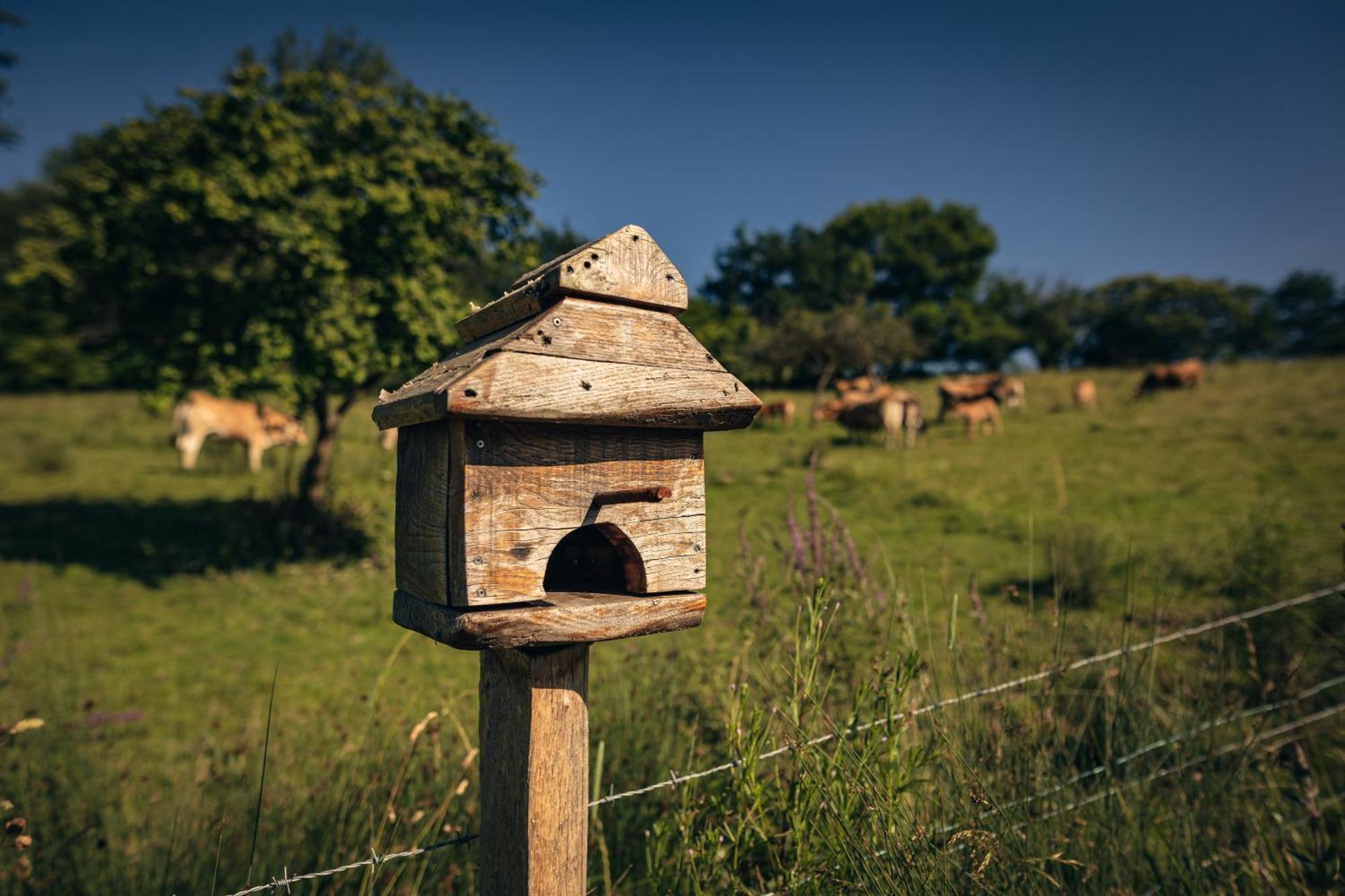 Finca La Naguada Casa Rural En Asturias Beloncio Exteriör bild