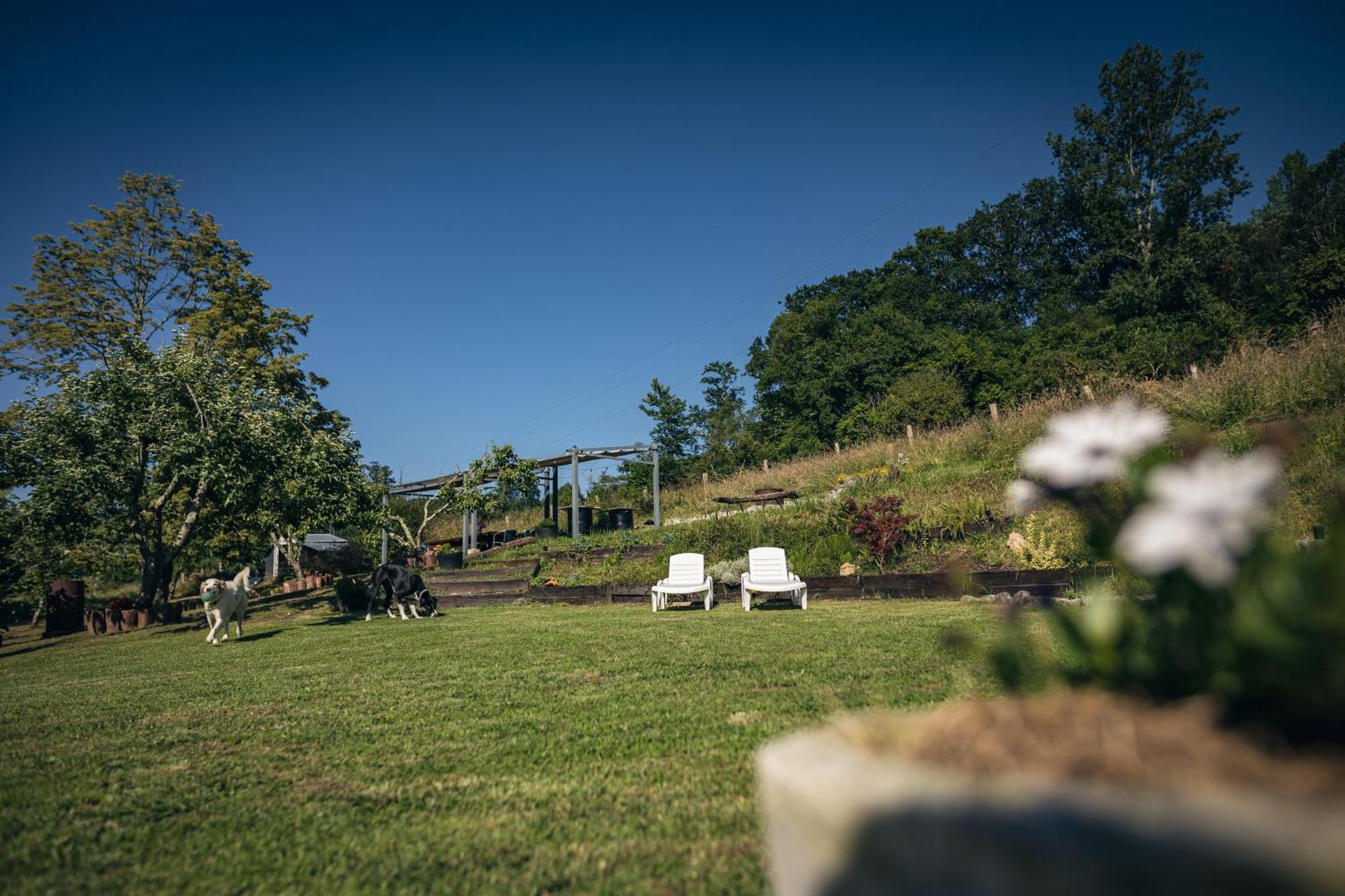 Finca La Naguada Casa Rural En Asturias Beloncio Exteriör bild