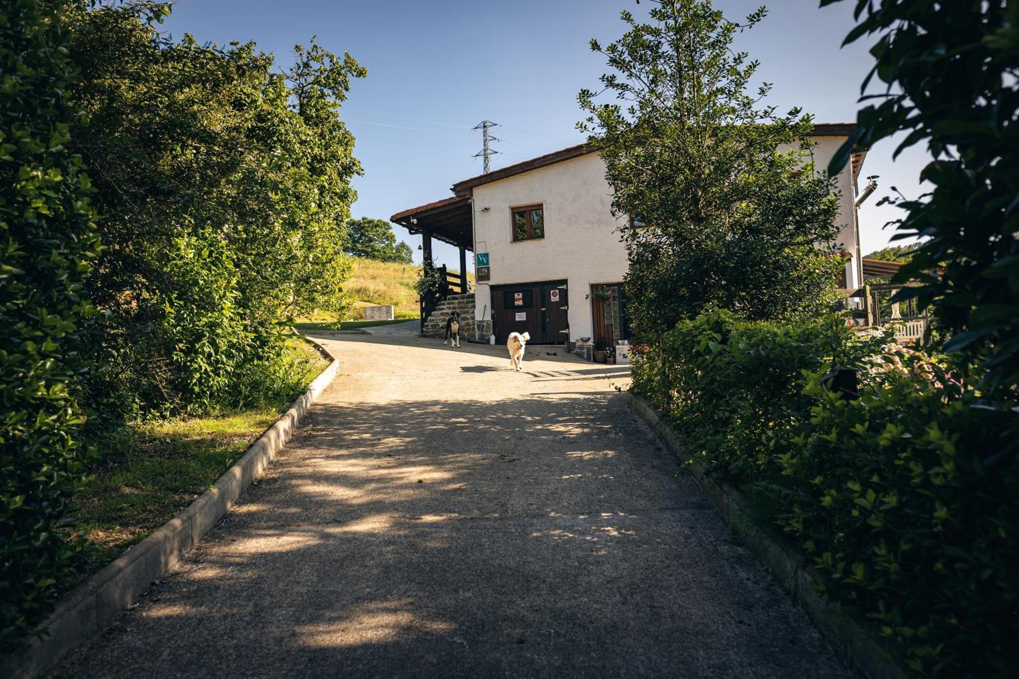 Finca La Naguada Casa Rural En Asturias Beloncio Exteriör bild